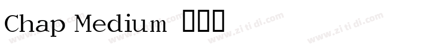 Chap Medium字体转换